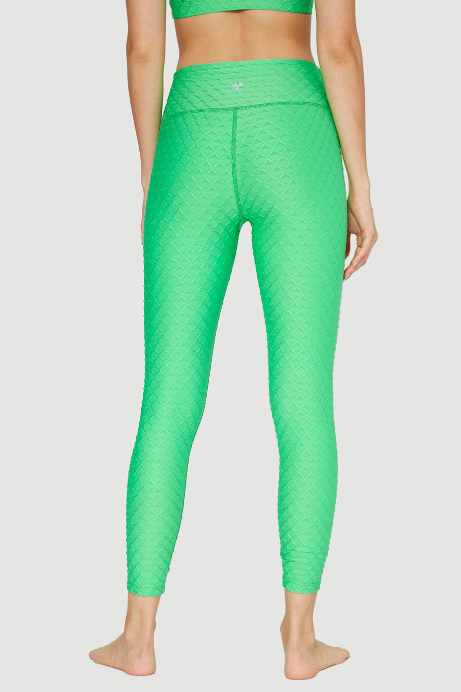 Women's Scallop Legging Made in USA detail view 4